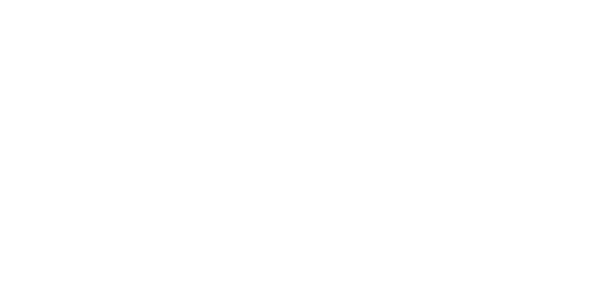 DimaMatch